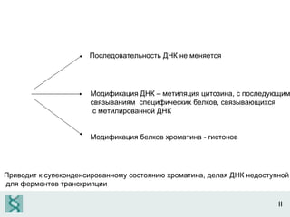 II Последовательность ДНК не меняется Модификация ДНК – метиляция цитозина, с последующим  связываниям  специфических белков, связывающихся с метилированной ДНК Модификация белков хроматина - гистонов Приводит к супеконденсированному состоянию хроматина, делая ДНК недоступной для ферментов транскрипции 