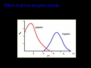 Effect of pH on enzyme activity
 