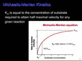 Michaelis-Menten Kinetics
 Km is equal to the concentration of substrate
 required to attain half maximal velocity for any
 given reaction
 