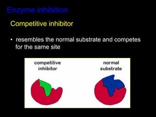 Enzyme inhibition
 Competitive inhibitor

 •  resembles the normal substrate and competes
    for the same site
 