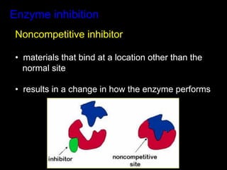 Enzyme inhibition
 Noncompetitive inhibitor

 •  materials that bind at a location other than the
    normal site

 •  results in a change in how the enzyme performs
 