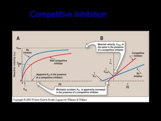 Competitive Inhibition
 