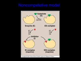 Noncompetetive model
 