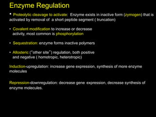 Enzyme Regulation
•  Proteolytic cleavage to activate:
                                   Enzyme exists in inactive form (zymogen) that is
activated by removal of a short peptide segment ( truncation)

•  Covalent modification to increase or decrease
   activity, most common is phosphorylation

•  Sequestration: enzyme forms inactive polymers

•  Allosteric (“other site”) regulation, both positive
   and negative ( homotropic, heterotropic)

Induction-upregulation: increase gene expression, synthesis of more enzyme
molecules

Repression-downregulation: decrease gene expression, decrease synthesis of
enzyme molecules.
 