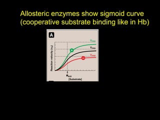 Allosteric enzymes show sigmoid curve
(cooperative substrate binding like in Hb)
 