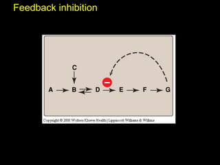 Feedback inhibition
 