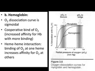 •  b.	
  Hemoglobin:	
  
•  O2	
  dissocia.on	
  curve	
  is	
  
   sigmoidal	
  	
  
•  Coopera.ve	
  bind	
  of	
  O2	
  
   (increased	
  aﬃnity	
  for	
  Hb	
  
   with	
  more	
  binding)	
  
•  Heme-­‐heme	
  interac.on:	
  
   binding	
  of	
  O2	
  at	
  one	
  heme	
  
   increases	
  aﬃnity	
  for	
  O2	
  at	
  
   others	
  
 