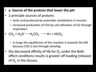 •  a.	
  Source	
  of	
  the	
  protons	
  that	
  lower	
  the	
  pH:	
  
•  2	
  principle	
  sources	
  of	
  protons:	
  
        –  lac.c	
  acid	
  produced	
  by	
  anaerobic	
  metabolism	
  in	
  muscles	
  
        –  increased	
  produc.on	
  of	
  CO2	
  by	
  cell	
  u.liza.on	
  of	
  O2	
  through	
  
           respira.on:	
  
•  CO2	
  +	
  H2O	
  	
  	
  	
  	
  	
  	
  H2CO3	
  	
  	
  	
  	
  	
  	
  	
  	
  H+	
  +	
  HCO3-­‐	
  

        –  in	
  lungs	
  the	
  equilibrium	
  of	
  this	
  reac.on	
  is	
  towards	
  the	
  leg	
  
           because	
  CO2	
  is	
  lost	
  through	
  exhaling	
  
•  the	
  decreased	
  aﬃnity	
  of	
  Hb	
  for	
  O2	
  under	
  the	
  Bohr	
  
   eﬀect	
  condi.ons	
  results	
  is	
  greater	
  oﬀ	
  loading	
  (release)	
  
   of	
  O2	
  in	
  the	
  .ssues.	
  
 