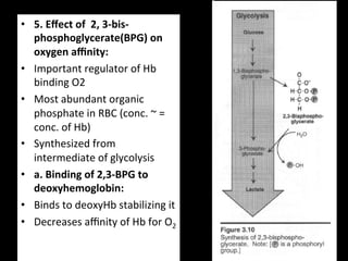 •  5.	
  Eﬀect	
  of	
  	
  2,	
  3-­‐bis-­‐
   phosphoglycerate(BPG)	
  on	
  
   oxygen	
  aﬃnity:	
  
•  Important	
  regulator	
  of	
  Hb	
  
   binding	
  O2	
  
•  Most	
  abundant	
  organic	
  
   phosphate	
  in	
  RBC	
  (conc.	
  ~	
  =	
  
   conc.	
  of	
  Hb)	
  
•  Synthesized	
  from	
  
   intermediate	
  of	
  glycolysis	
  	
  
•  a.	
  Binding	
  of	
  2,3-­‐BPG	
  to	
  
   deoxyhemoglobin:	
  
•  Binds	
  to	
  deoxyHb	
  stabilizing	
  it	
  
•  Decreases	
  aﬃnity	
  of	
  Hb	
  for	
  O2	
  
 