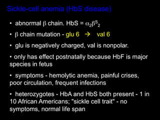 Sickle-cell anemia (HbS disease)
•  abnormal β chain. HbS = α2βS2
•  β chain mutation - glu 6 à   val 6
•  glu is negatively charged, val is nonpolar.
•  only has effect postnatally because HbF is major
species in fetus
•  symptoms - hemolytic anemia, painful crises,
poor circulation, frequent infections
•  heterozygotes - HbA and HbS both present - 1 in
10 African Americans; "sickle cell trait" - no
symptoms, normal life span
 