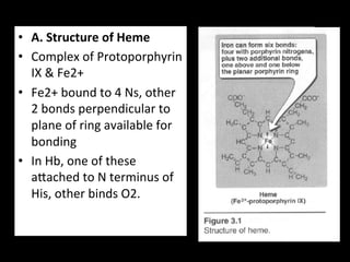 •  A.	
  Structure	
  of	
  Heme	
  
•  Complex	
  of	
  Protoporphyrin	
  
   IX	
  &	
  Fe2+	
  	
  
•  Fe2+	
  bound	
  to	
  4	
  Ns,	
  other	
  
   2	
  bonds	
  perpendicular	
  to	
  
   plane	
  of	
  ring	
  available	
  for	
  
   bonding	
  
•  In	
  Hb,	
  one	
  of	
  these	
  
   aHached	
  to	
  N	
  terminus	
  of	
  
   His,	
  other	
  binds	
  O2.	
  	
  
 