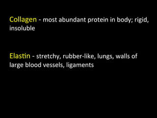 Collagen	
  -­‐	
  most	
  abundant	
  protein	
  in	
  body;	
  rigid,	
  
insoluble	
  
	
  
	
  
Elas.n	
  -­‐	
  stretchy,	
  rubber-­‐like,	
  lungs,	
  walls	
  of	
  
large	
  blood	
  vessels,	
  ligaments	
  
	
  
	
  
 