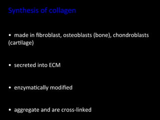 Synthesis	
  of	
  collagen	
  
	
  
• 	
  	
  made	
  in	
  ﬁbroblast,	
  osteoblasts	
  (bone),	
  chondroblasts	
  
(car.lage)	
  


• 	
  	
  secreted	
  into	
  ECM	
  


• 	
  	
  enzyma.cally	
  modiﬁed	
  


• 	
  	
  aggregate	
  and	
  are	
  cross-­‐linked	
  
 