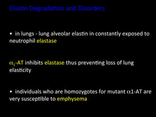 Elas.n	
  Degrada.on	
  and	
  Disorders	
  


• 	
  	
  in	
  lungs	
  -­‐	
  lung	
  alveolar	
  elas.n	
  in	
  constantly	
  exposed	
  to	
  
neutrophil	
  elastase	
  
	
  	
  
	
  
α1-­‐AT	
  inhibits	
  elastase	
  thus	
  preven.ng	
  loss	
  of	
  lung	
  
elas.city	
  


• 	
  	
  individuals	
  who	
  are	
  homozygotes	
  for	
  mutant	
  α1-­‐AT	
  are	
  
very	
  suscep.ble	
  to	
  emphysema	
  
 