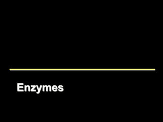 Enzymes
 