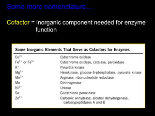 Some more nomenclature…

Cofactor = inorganic component needed for enzyme
           function
 