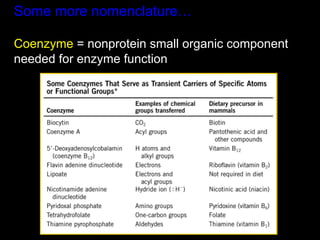 Some more nomenclature…

Coenzyme = nonprotein small organic component
needed for enzyme function
 