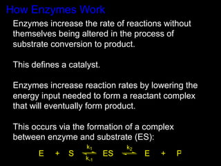 How Enzymes Work
 Enzymes increase the rate of reactions without
 themselves being altered in the process of
 substrate conversion to product.

 This defines a catalyst.
 	
  
 Enzymes increase reaction rates by lowering the
 energy input needed to form a reactant complex
 that will eventually form product.
 	
  
 This occurs via the formation of a complex
 between enzyme and substrate (ES):
                    k1        k2
       E   +   S         ES        E   +   P
                   k-1
 