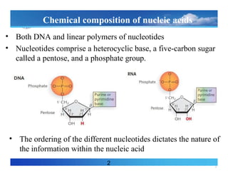 3
Chemical composition of nucleic acids
• Both DNA and linear polymers of nucleotides
• Nucleotides comprise a heterocyclic base, a five-carbon sugar
called a pentose, and a phosphate group.
2
• The ordering of the different nucleotides dictates the nature of
the information within the nucleic acid
 