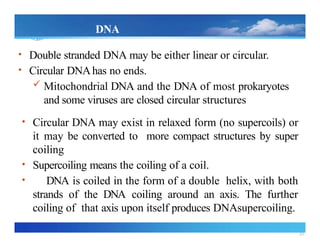 30
DNA
Supercoiling
• Double stranded DNA may be either linear or circular.
• Circular DNAhas no ends.
 Mitochondrial DNA and the DNA of most prokaryotes
and some viruses are closed circular structures
• Circular DNA may exist in relaxed form (no supercoils) or
it may be converted to more compact structures by super
coiling
• Supercoiling means the coiling of a coil.
• DNA is coiled in the form of a double helix, with both
strands of the DNA coiling around an axis. The further
coiling of that axis upon itself produces DNAsupercoiling.
 