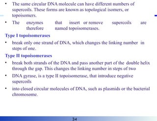 • The same circular DNA molecule can have different numbers of
supercoils. These forms are known as topological isomers, or
topoisomers.
• The enzymes that insert or remove supercoils are
therefore named topoisomerases.
Type I topoisomerases
• break only one strand of DNA, which changes the linking number in
steps of one.
Type II topoisomerases
• break both strands of the DNA and pass another part of the double helix
through the gap. This changes the linking number in steps of two
• DNA gyrase, is a type II topoisomerase, that introduce negative
supercoils
• into closed circular molecules of DNA, such as plasmids or the bacterial
chromosome.
34
 