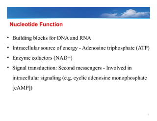 9
Nucleotide Function
• Building blocks for DNA and RNA
• Intracellular source of energy - Adenosine triphosphate (ATP)
• Enzyme cofactors (NAD+)
• Signal transduction: Second messengers - Involved in
intracellular signaling (e.g. cyclic adenosine monophosphate
[cAMP])
 