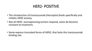 HER2- POSITIVE
• The introduction of transtuzumab (Herceptin) binds specifically and
inhibits HER2 activity.
• Not all HER2 overexpressing tumors respond, some do become
resistant to treatment.
• Some express truncated forms of HER2, that lacks the transtuzumab
binding site.
 