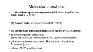 Molecular alterations
• (1) Growth receptor overexpression (HER2/neu amplification,
EGFR, FGFR1 or FGFR2).
• (2) Growth factor overexpression (FGF1/FGF4).
• (3) Intracellular signaling molecule alterations (HRAS mutation)
• cell cycle regulator alterations
(TP53 mutation, RB inactivation, CCND1 gene amplification);
• adhesion molecule alterations (⬇E-cadherin, ⬇P-cadherin,
⬆cathepsin); and
• others (CMYC amplification).
 