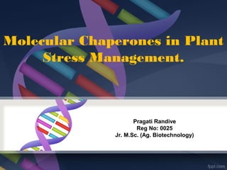 Molecular Chaperones in Plant
Stress Management.
Pragati Randive
Reg No: 0025
Jr. M.Sc. (Ag. Biotechnology)
 