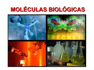 MOLÉCULAS BIOLÓGICAS 