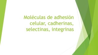 Moléculas de adhesión
celular, cadherinas,
selectinas, integrinas
 