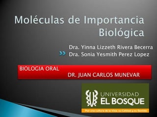 Dra. Yinna Lizzeth Rivera Becerra
                Dra. Sonia Yesmith Perez Lopez

BIOLOGIA ORAL
                DR. JUAN CARLOS MUNEVAR
 