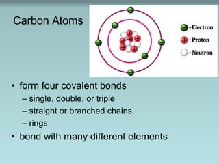 Carbon Atoms
• form four covalent bonds
– single, double, or triple
– straight or branched chains
– rings
• bond with many different elements
 