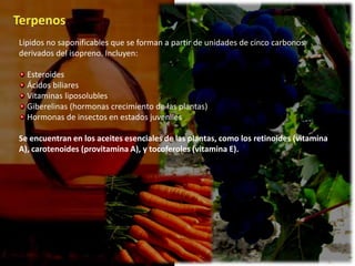 Lípidos no saponificables que se forman a partir de unidades de cinco carbonos
derivados del isopreno. Incluyen:

  Esteroides
  Ácidos biliares
  Vitaminas liposolubles
  Giberelinas (hormonas crecimiento de las plantas)
  Hormonas de insectos en estados juveniles

Se encuentran en los aceites esenciales de las plantas, como los retinoides (vitamina
A), carotenoides (provitamina A), y tocoferoles (vitamina E).
 
