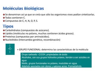 Se denominan así ya que se creía que sólo los organismos vivos podían sintetizarlas.
Todas contienen C.
Compuestas de C, H, N, O, P, S.


Carbohidratos (compuestos de azúcares).
Lípidos (moléculas no polares, muchas contienen ácidos grasos).
Proteínas (compuestas por aminoácidos).
Nucleótidos (Intercambio genético, recombinación)


           + GRUPO FUNCIONAL: determina las características de la molécula
 
