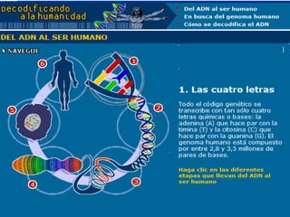 Moléculas orgánicas