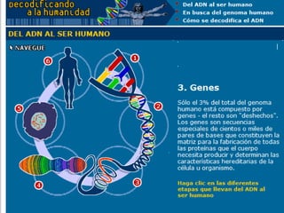 Moléculas orgánicas