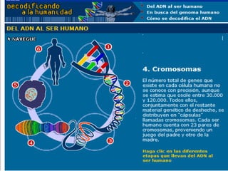 Moléculas orgánicas
