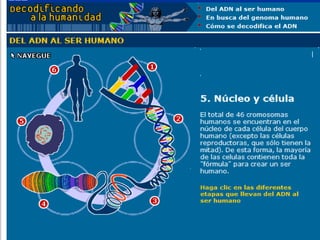 Moléculas orgánicas