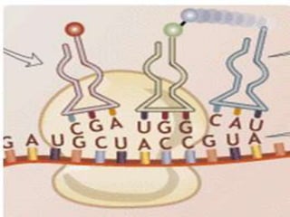 Moléculas orgánicas
