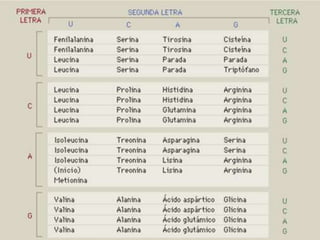 Moléculas orgánicas