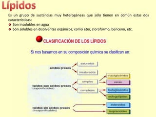 Es un grupo de sustancias muy heterogéneas que sólo tienen en común estas dos
características:
   Son insolubles en agua
   Son solubles en disolventes orgánicos, como éter, cloroformo, benceno, etc.
 