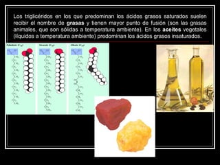 Los triglicéridos en los que predominan los ácidos grasos saturados suelen recibir el nombre de  grasas  y tienen mayor punto de fusión (son las grasas animales, que son sólidas a temperatura ambiente). En los  aceites  vegetales (líquidos a temperatura ambiente) predominan los ácidos grasos insaturados. 