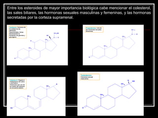 Entre los esteroides de mayor importancia biológica cabe mencionar el colesterol, las sales biliares, las hormonas sexuales masculinas y femeninas, y las hormonas secretadas por la corteza suprarrenal.  