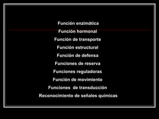 Función enzimática Función hormonal  Función de transporte  Función estructural  Función de defensa  Funciones de reserva  Funciones reguladoras  Función de movimiento  Funciones  de transducción  Reconocimiento de señales químicas 
