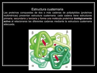Estructura cuaternaria   Las proteínas compuestas de dos o más cadenas de polipéptidos (proteínas multiméricas) presentan estructura cuaternaria: cada cadena tiene estructuras primaria, secundaria y terciaria y forma una molécula proteínica  biológicamente activa  al relacionarse las diferentes cadenas mediante la estructura cuaternaria adecuada.  