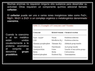 Muchas enzimas no requieren ninguna otra sustancia para desarrollar su actividad. Otras requieren un componente químico adicional Ilamado  cofactor .  El  cofactor  puede ser uno o varios iones inorgánicos tales como Fe2+, Mg2+, Mn2+ o Zn2+ o un complejo orgánico o metalorgánico denominado  coenzima .  Cuando la coenzima o el ion metálico están unidos covalentemente a la proteína enzimática el conjunto se denomina  grupo prostético .  