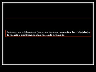 Entonces los catalizadores (como las enzimas)  aumentan las velocidades de reacción disminuyendo la energía de activación.   