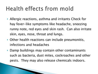 Mold | PPT