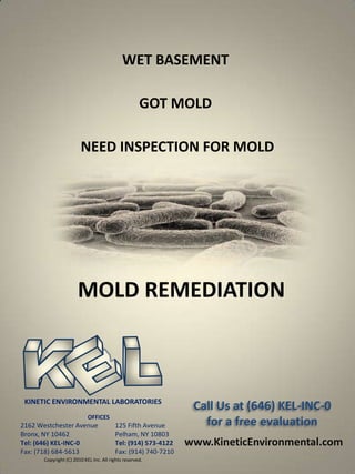 WET BASEMENT

                                                     GOT MOLD

                        NEED INSPECTION FOR MOLD




                       MOLD REMEDIATION



 KINETIC ENVIRONMENTAL LABORATORIES
                                                                Call Us at (646) KEL-INC-0
                            OFFICES
2162 Westchester Avenue                  125 Fifth Avenue         for a free evaluation
Bronx, NY 10462                          Pelham, NY 10803
Tel: (646) KEL-INC-0                     Tel: (914) 573-4122   www.KineticEnvironmental.com
Fax: (718) 684-5613                      Fax: (914) 740-7210
       Copyright (C) 2010 KEL Inc. All rights reserved.
 